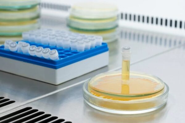 Giga Prep (> 10 mg) - Image 1