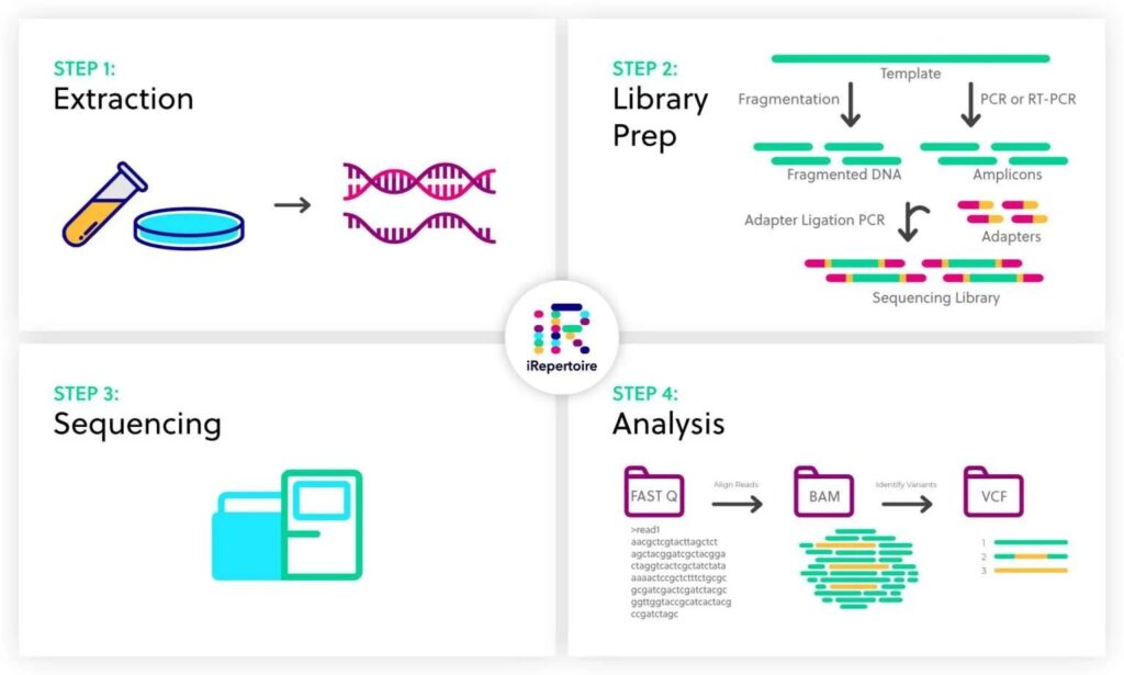 Off-target DNA & Library Prep, Sequencing and Data Analysis (per sample)