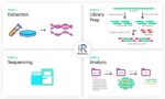 Off-target DNA & Library Prep, Sequencing and Data Analysis (per sample)