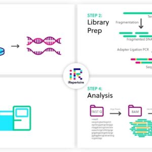Off-target DNA & Library Prep, Sequencing and Data Analysis (per sample)