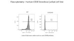 Jurkat/CD3E KO Cell Line - Image 2