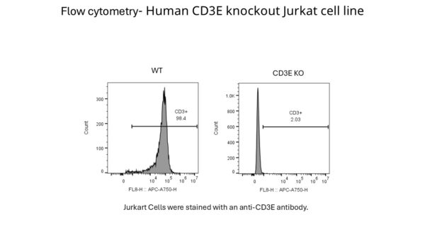 Jurkat/CD3E KO  Cell Line - Image 2